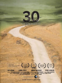 affiche du film 30