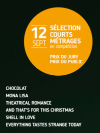 affiche du film Sélection de courts métrages en compétition pour le Prix du Public et le Prix du Jury