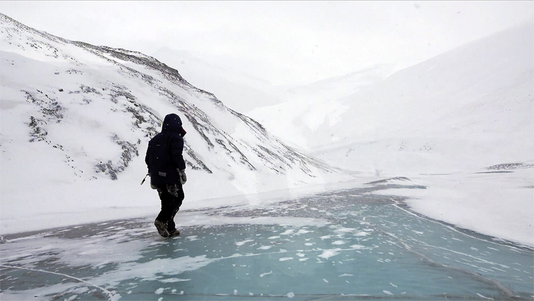 dans Glaciers d'arctique, état des lieux