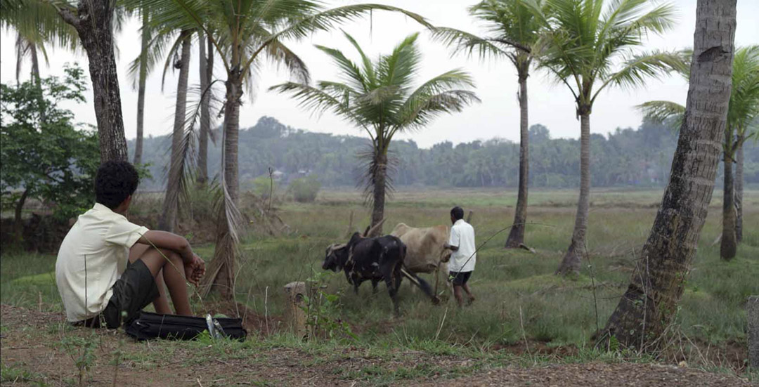 dans L'Enfant de Goa